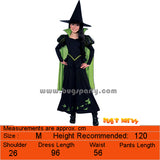 Wizard of Oz costumes, Dorothy, Scarecrow, Wicked witch of west, Tin man, Lion