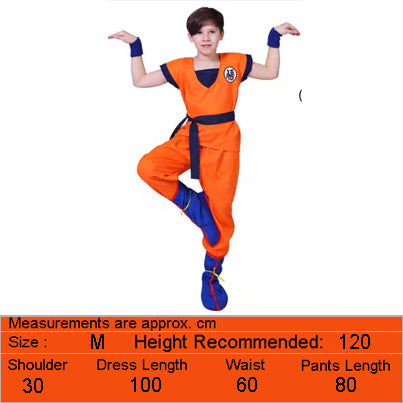 Kids Anime, SunWuKong Monkey King Journey to the West Costume