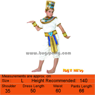 Egyptian Boy Pharaoh Costume