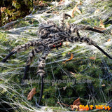 20 inches fake brown spider