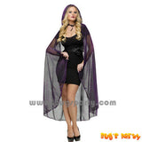 Cape Sheer Spiderweb