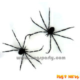 Spider Black Widow