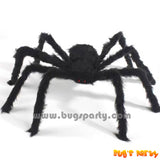 Giant Furry Black Spider