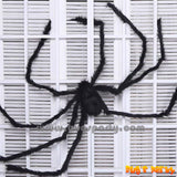 Giant Furry Black Spider