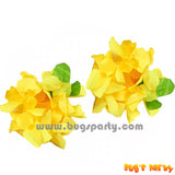 Hawaiian Leis Set