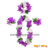 Hawaiian Leis Set