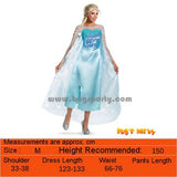 Elsa costume adult