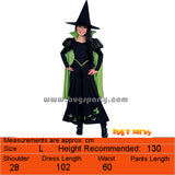 Wizard of Oz costumes, Dorothy, Scarecrow, Wicked witch of west, Tin man, Lion