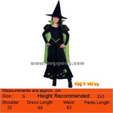 Wizard of Oz costumes, Dorothy, Scarecrow, Wicked witch of west, Tin man, Lion