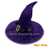 Witch Wizard Red Purple Hat