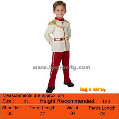 Costume Prince Charming