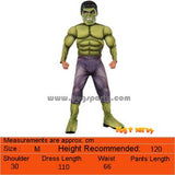 Hulk Deluxe costume