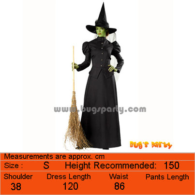 Wizard of Oz West Witch Costume