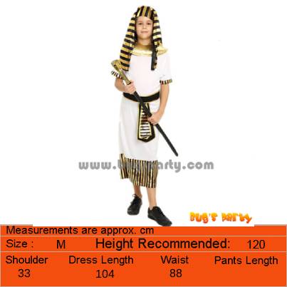 Egyptian King Pharaoh Boy Costume
