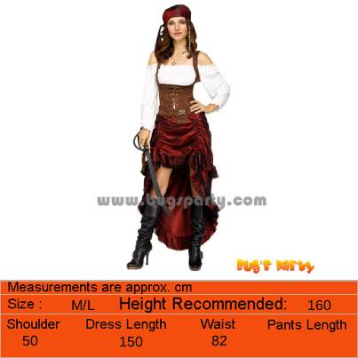 Pirate Queen Costume