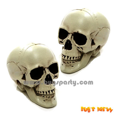 Novelty Plastic Skull