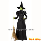 Black color adult Classic Witch costume and hat