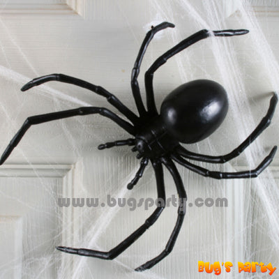 Spider Black Widow